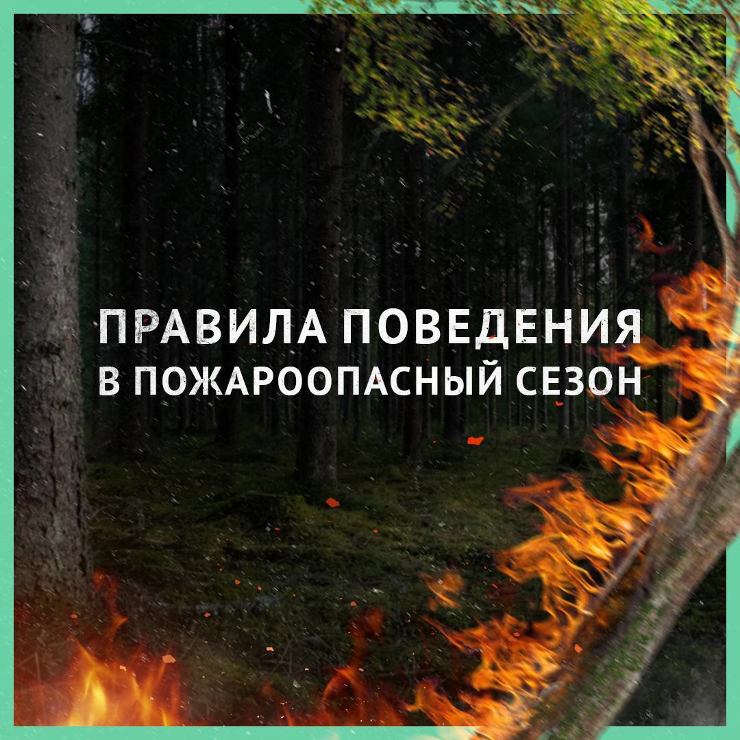 Управление МЧС по Новгородской области сообщает: с начала 2023 года пожарные подразделения региона выезжали на тушение травы более 150 раз.