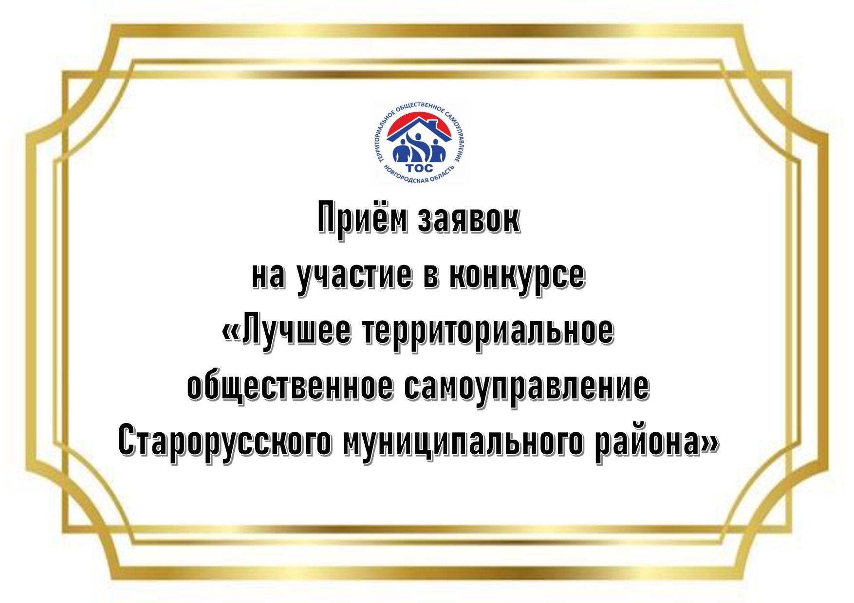 Лучшее территориальное общественное самоуправление Старорусского муниципального района.