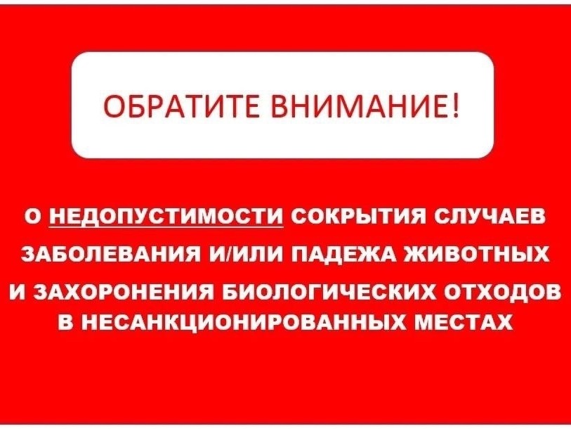 Уважаемые жители! Сокрытие случаев заболевания животных и их падежа, а также захоронение биологических отходов в несанкционированных местах может привести к серьёзным последствиям для здоровья людей и животных, а также для экологии нашего округа..